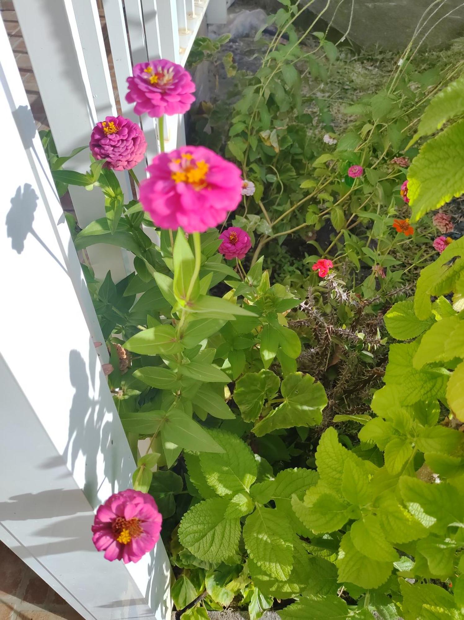 Location Hibiscus Βίλα Πουάντ-Νουάρ Εξωτερικό φωτογραφία